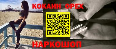 шишки Кандалакша