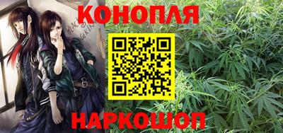 шишки Кандалакша