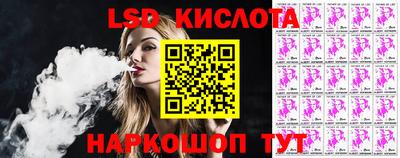 шишки Кандалакша