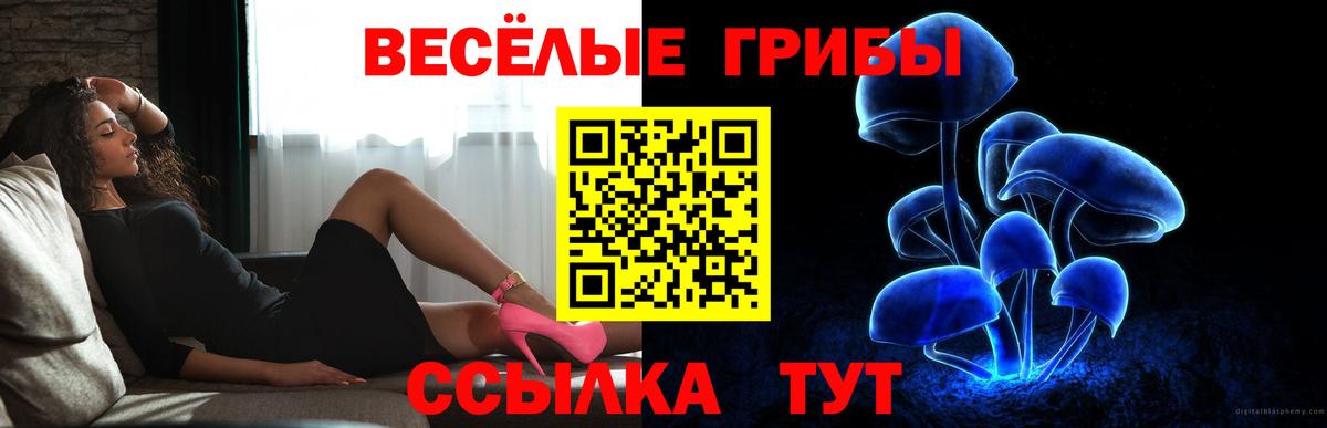Галлюциногенные грибы мицелий  Вход с VPN  Прохладный  Галлюциногенные грибы Psilocybine cubensis 
